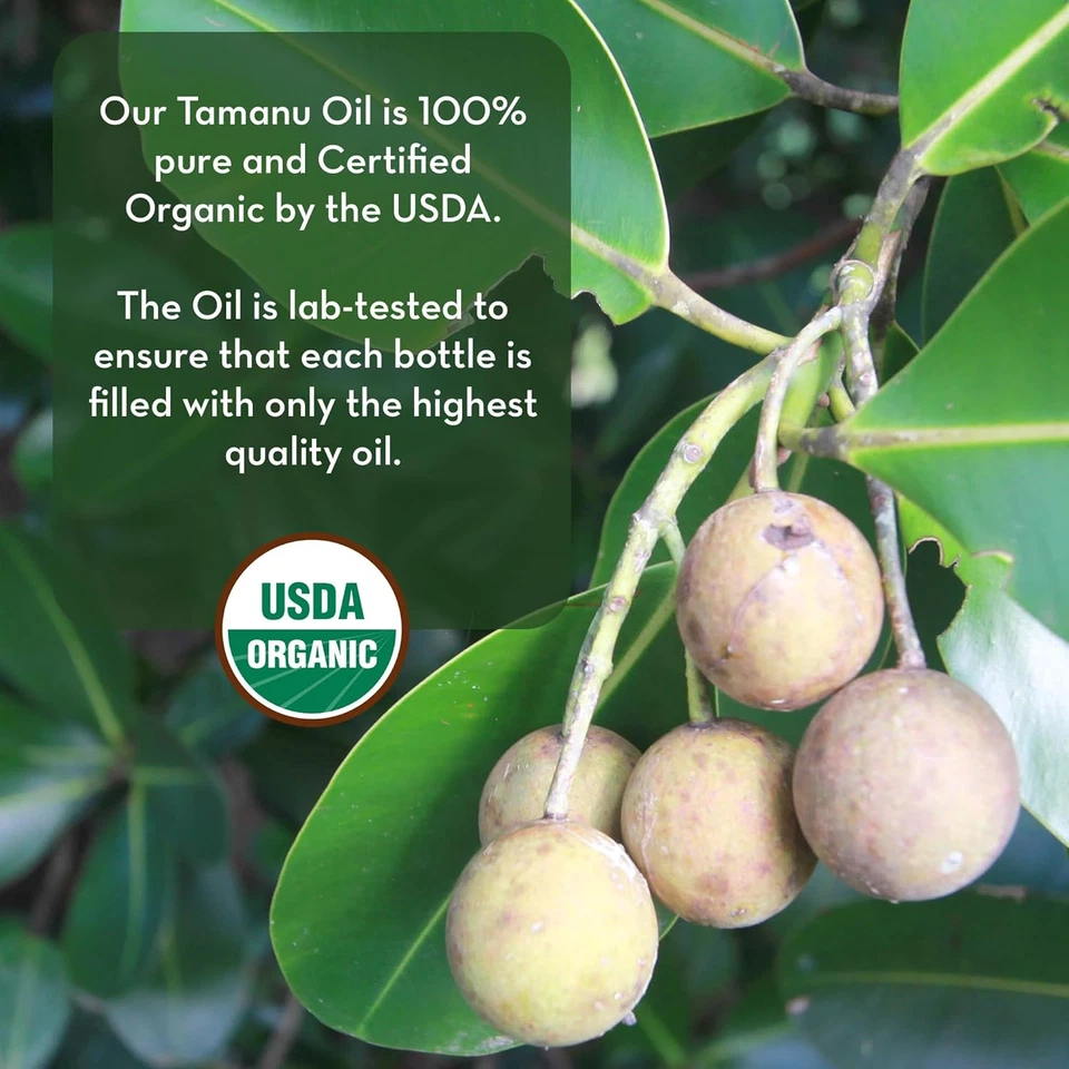 Tamanu Oil - Cold Pressed for Psoriasis, Eczema, Acne Scars, Rosacea Relief - Image 3 of 4
