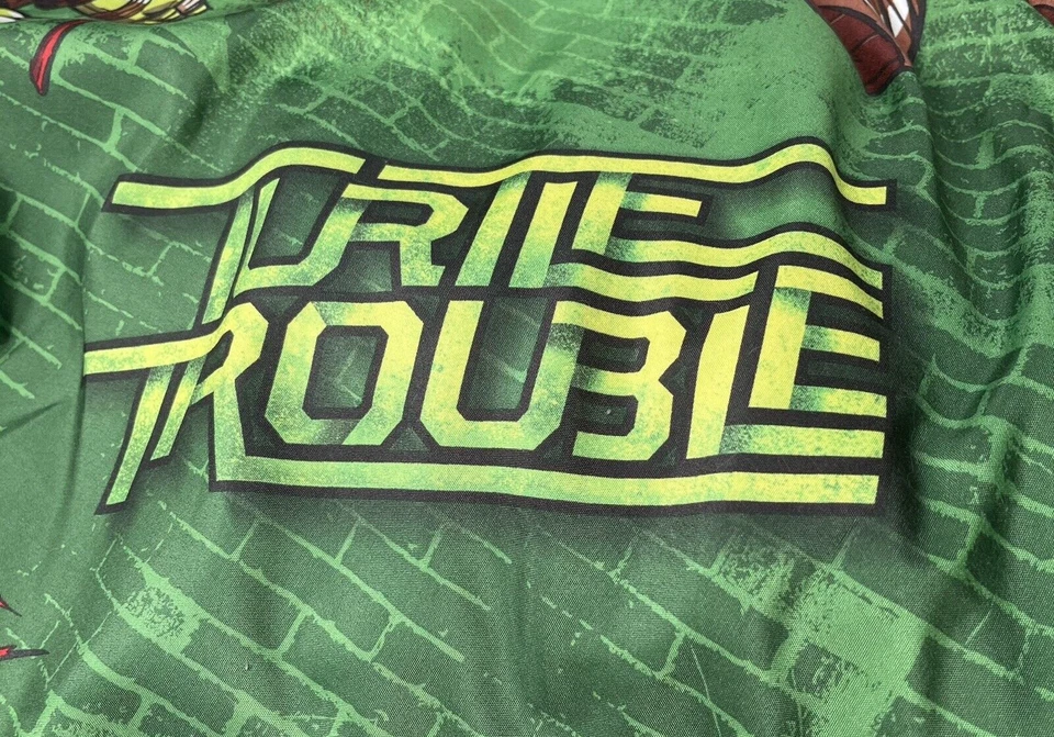 De colección TMNT Tortugas Ninja Adolescentes Mutantes Doble Hoja Plana Tortuga Problemas Nickelodeon Foto 4 de 4