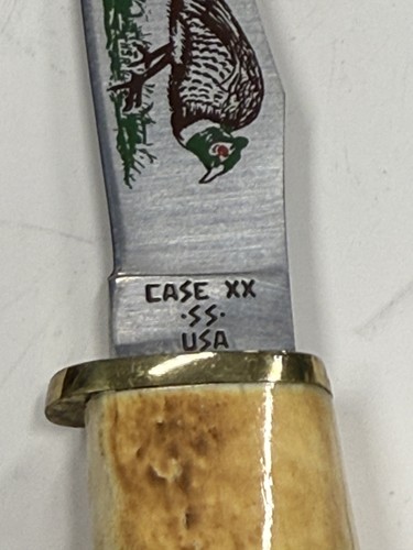 CASE XX 523-31/4 SSP Small Game Knife Pheasant Stag handle 2 Dot with Sheat B24 - Picture 4 of 8