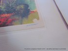 Bild 4 von 9