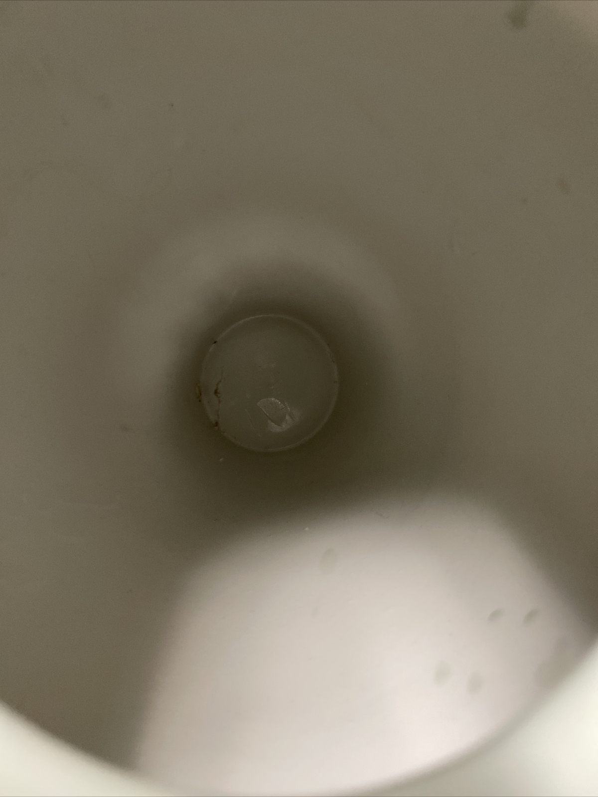 Picture 12 of 14