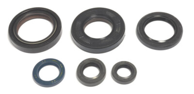 Yamaha YZ 125 B C D E F G luftgekühlt ( 1975-1980 ) KOMPLETTER Motoröldichtsatz Kit
