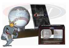 BCW Woodbase Baseball and Card Holder Walnut Base FREE SHIP