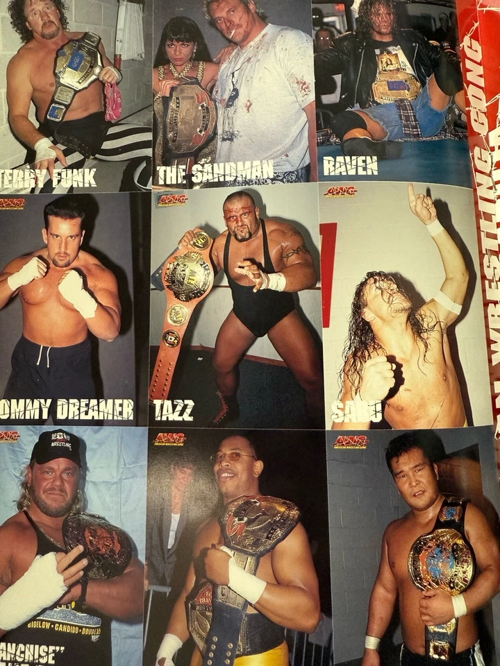 ECW Uncut 18 Cards Raven Sabu Tazz RVD Chris Benoit Shane Douglas Terry Funk WWF - Image 2 of 4