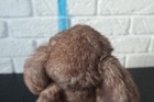 Bild 11 von 11