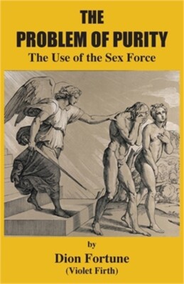 The Problem of Purity: The Use of the Sex Force (Paperback or Softback)