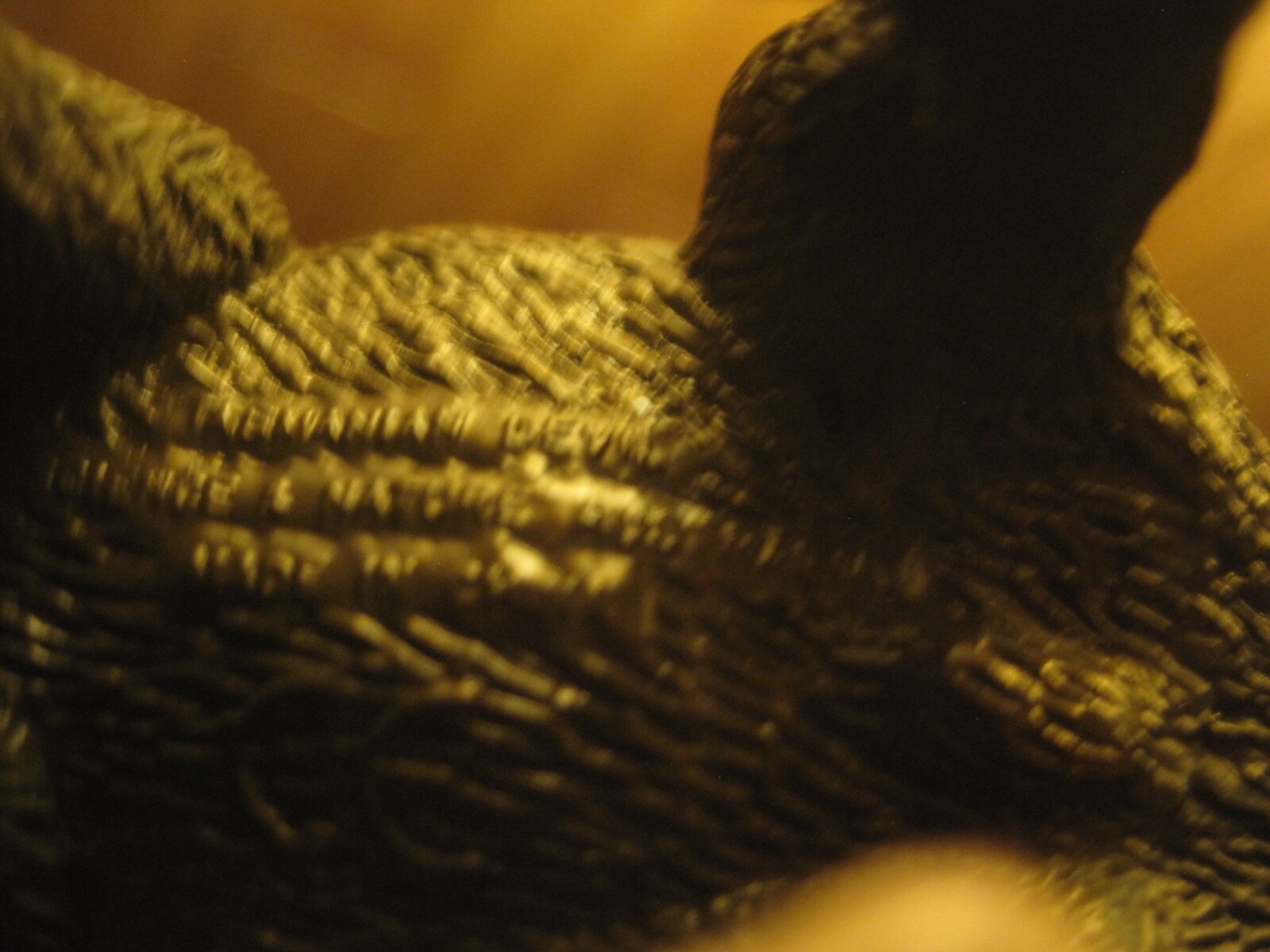 Picture 3 of 3