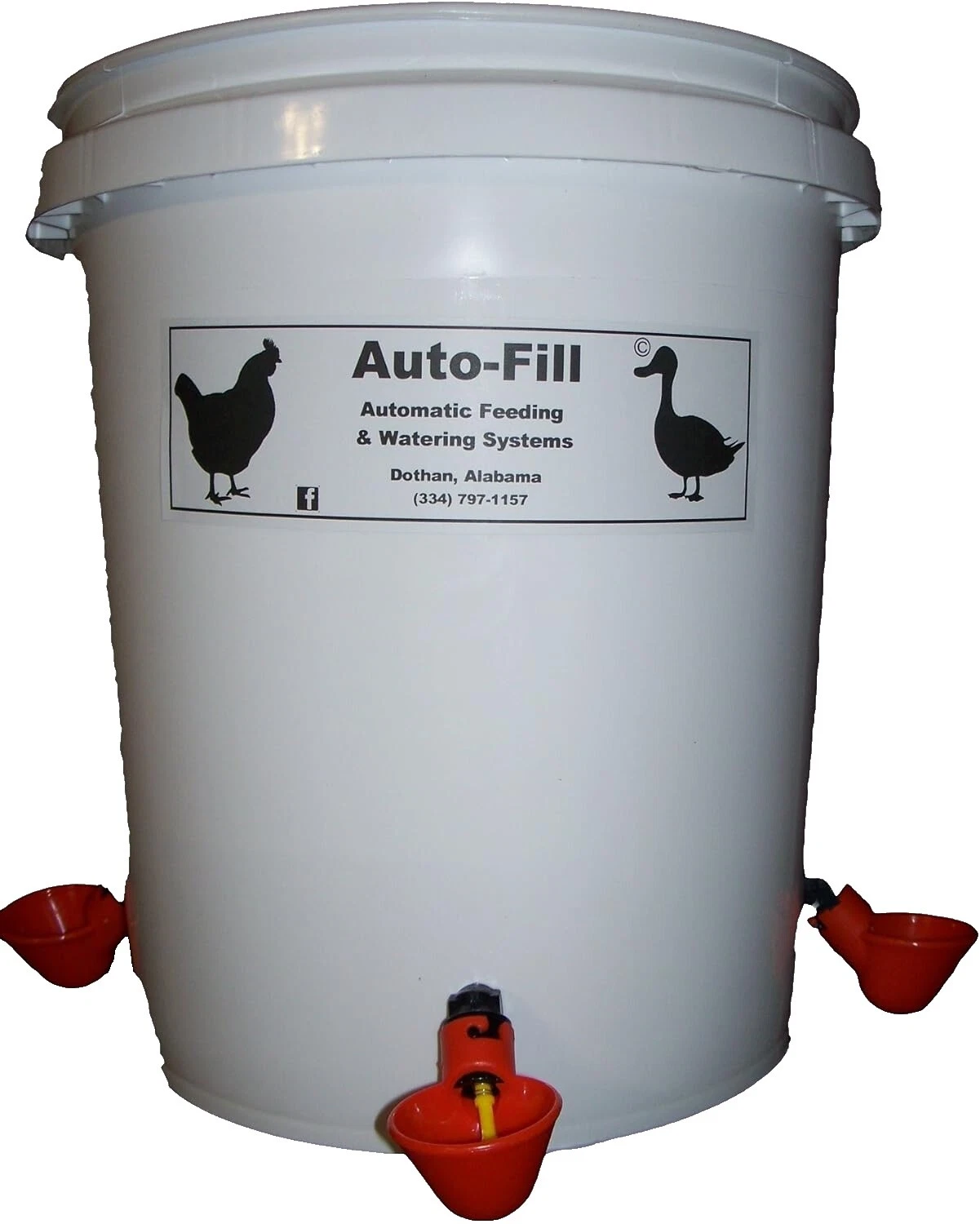 Automáticas Pollo Patio bebedores de aves de corral