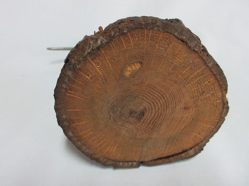 De colección Madera Tallada a Mano Costera Marrón Orilla Pájaro Gaviota Gaviota PLAYA OCÉANO - Imagen 7 de 8