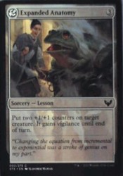 Expanded Anatomy 002/275 Strixhaven: School of Mages