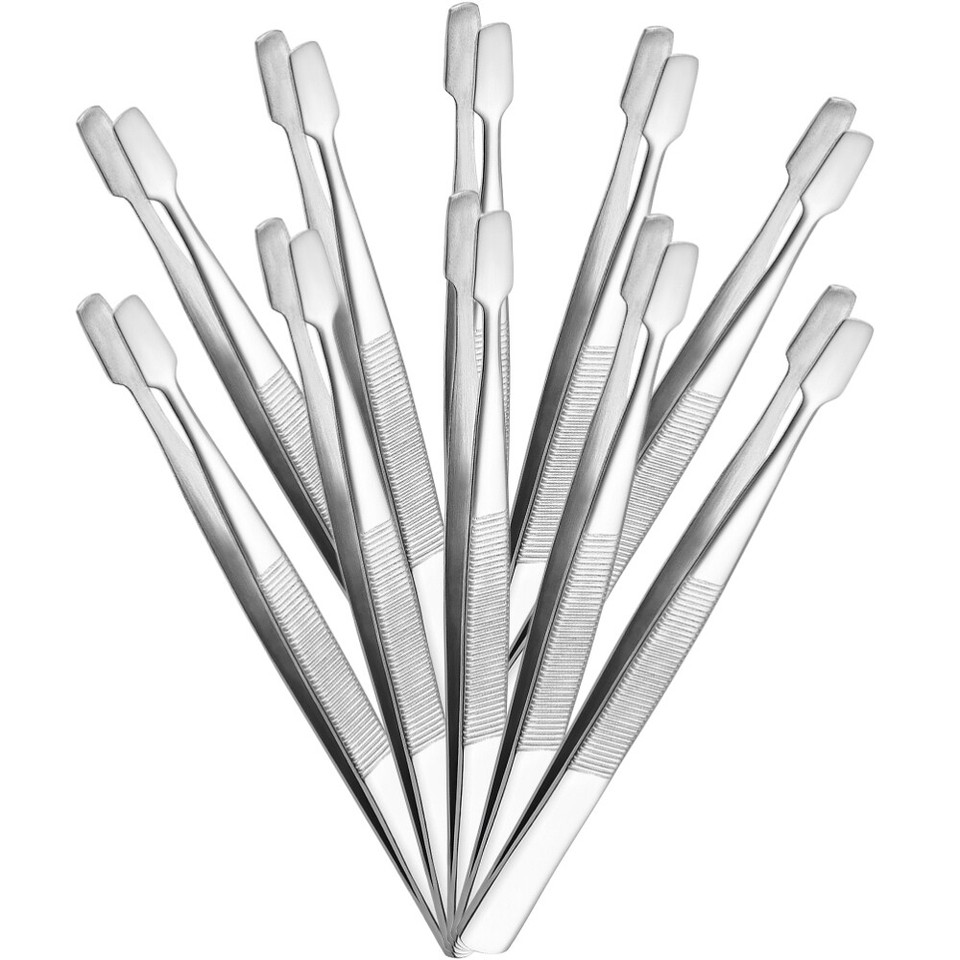 10Pcs Stamp Collecting Supplies Eyebrow Tweezers Crafting Tweezers eBay