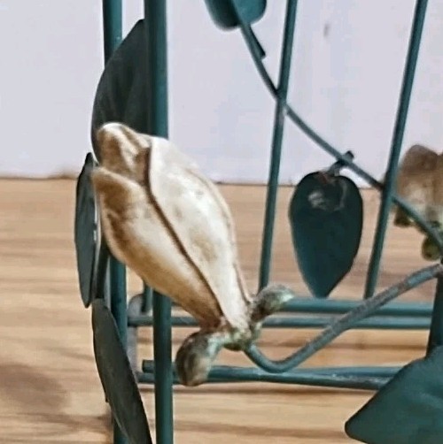 Picture 7 of 7