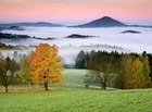 Bild 6 von 12