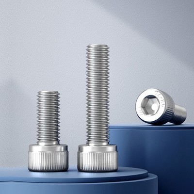 Stainless Steel Allen Bolt Hex Socket Head M16 M20 Bolts Screws Hexagon 30-150mm
