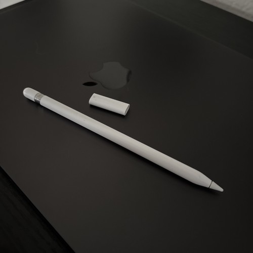 Apple Pencil (1st Generation) Stylus Pen for Touch Screens - White (MQLY3AM/A) - 第 1/1 張圖片