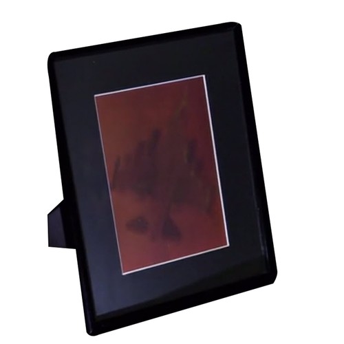 F-12 Fighter Jet 2-Kanal 3D Sammlerstück Hologramm Bild PHOTOPOLYMER - gerahmt - Bild 6 von 12
