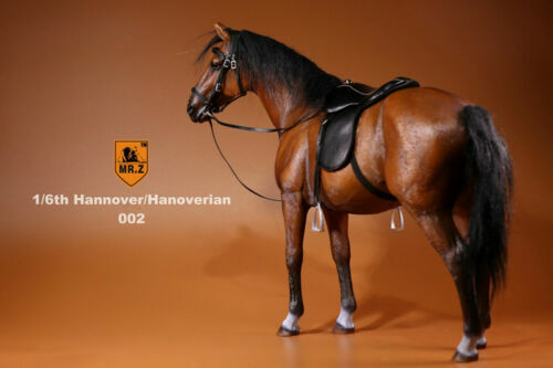 Figura MrZ 1/6 Alemania Hannover Caballo Hannover Animal Modelo Escala 12" EN STOCK - Imagen 23 de 46
