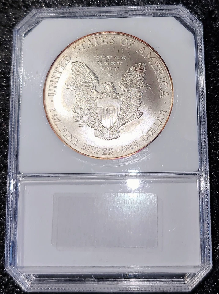 1996 Silver Eagle Monter tonificação de cor exclusiva  - Imagem 4 de 4