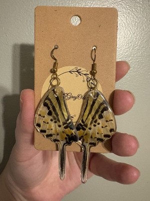 Oddity Insect Earrings   Real Butterfly   Wings  