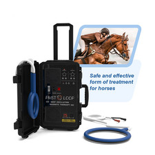 Horse Magnetic PEMF Therapy Machine VET Pmst Loop for Equine Pain Relief Physio