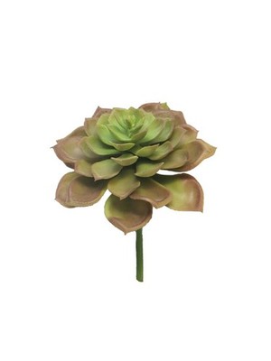 artplants Kunst Echeveria morani XINYA auf Steckstab, rot-grün, 17 cm