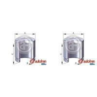2X Autofren 48Mm Kolben Bremssattel Hinten Vorne Passend FüR CitroËN C1 Ford Tou