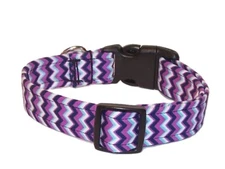 Wet Nose Designs Colorful Preppy Purple Chevron Stripes Dog Collar Zig Zag