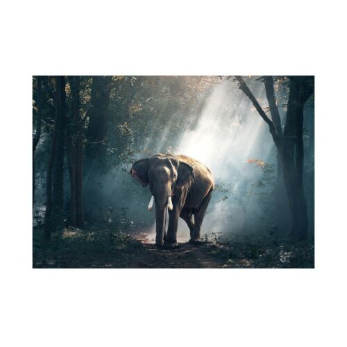 Elefant im Wald Leinwand Poster Kunst Bild Drucke Zuhause Wand Hängedekor - Bild 1 von 5