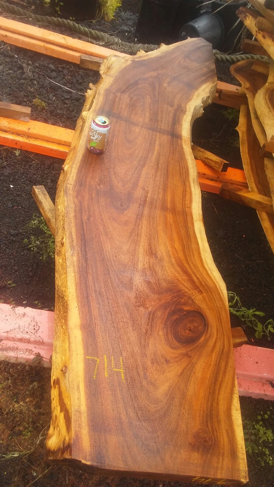 Picture 10 of 11