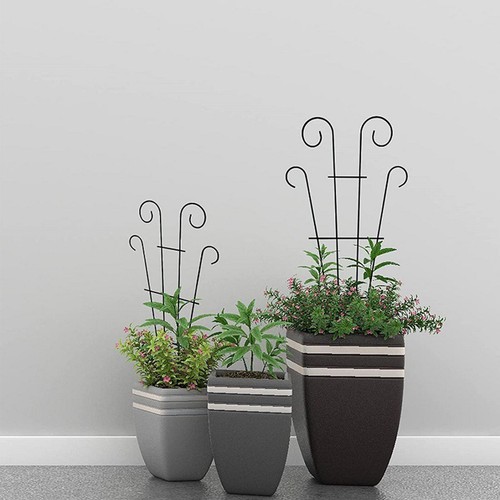 2Pcs Metal Garden Plant Climbing Frame Indoor Plant Trellis Houseplants Support - Picture 7 of 7