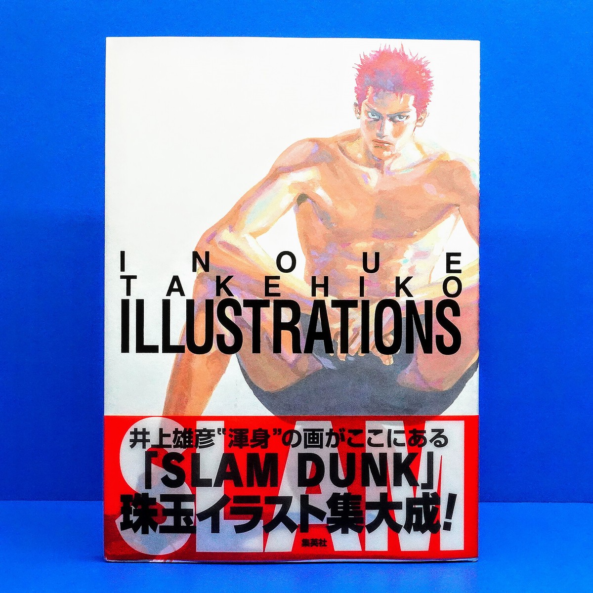 カードダスtakehiko inoue イラストコレクション カードダスtakehiko inoue イラストコレクション（Amazon.co.jp