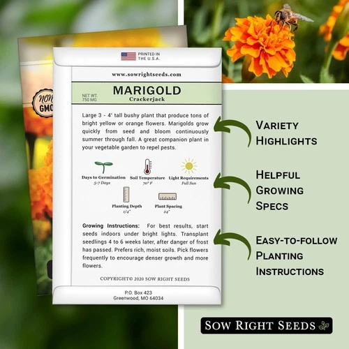 Sow Right Seeds Crackerjack Marigold - Thumbnail 5