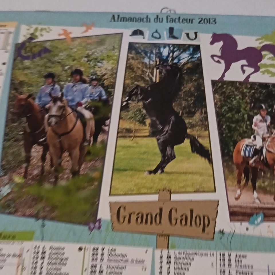 Calendrier 2013 Grand Galop - Photo 1/4