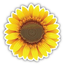 Sunflower Vinyl Car Sticker Decal