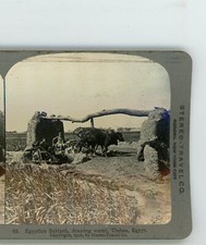 Egyptian Sakiyeh Drawing Water Thebes Egypt Stereo Travel Stereoview