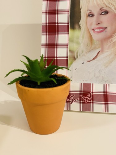 NWT Dolly Parton Red Plaid Photograph Picture in 8 x 10 Wood Frame & Coffee Cup - Picture 5 of 13