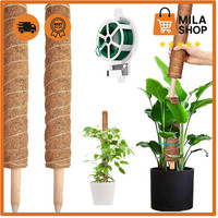 PflanzenstüTze Kokosfaser 2 StüCk 41 Cm DrehbäNder Kletterstab Garten Topf Boho