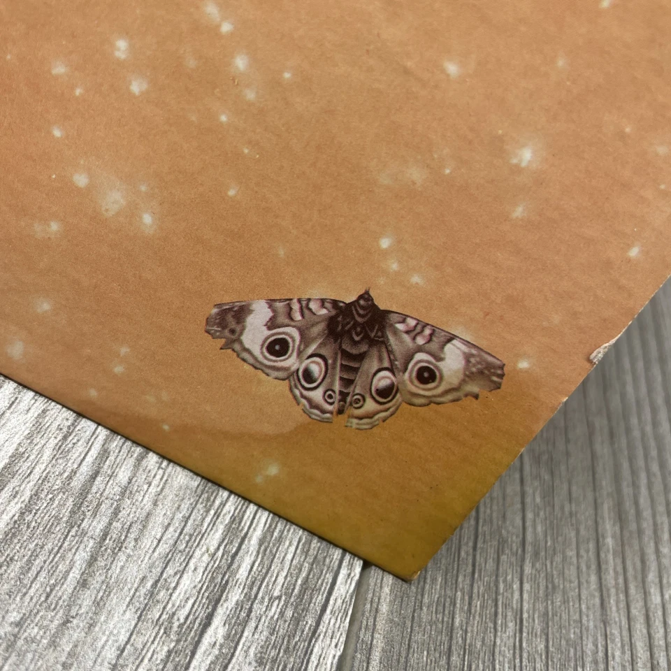 Michael Franks- Sleeping Gypsy- LP 1977 Warner Bros. BS 3004 - Image 2 of 4