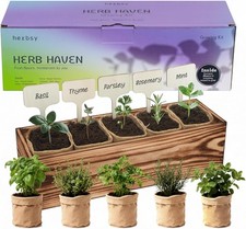 5 Herb Garden Kit W/ Wooden Box   Basil Thyme Parsley Rosemary Mint   Windowsill
