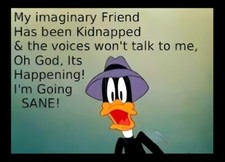 My Imaginary Friend Been Kidnapped & Voices Won't Talk To Me Daffy Duck MAGNET