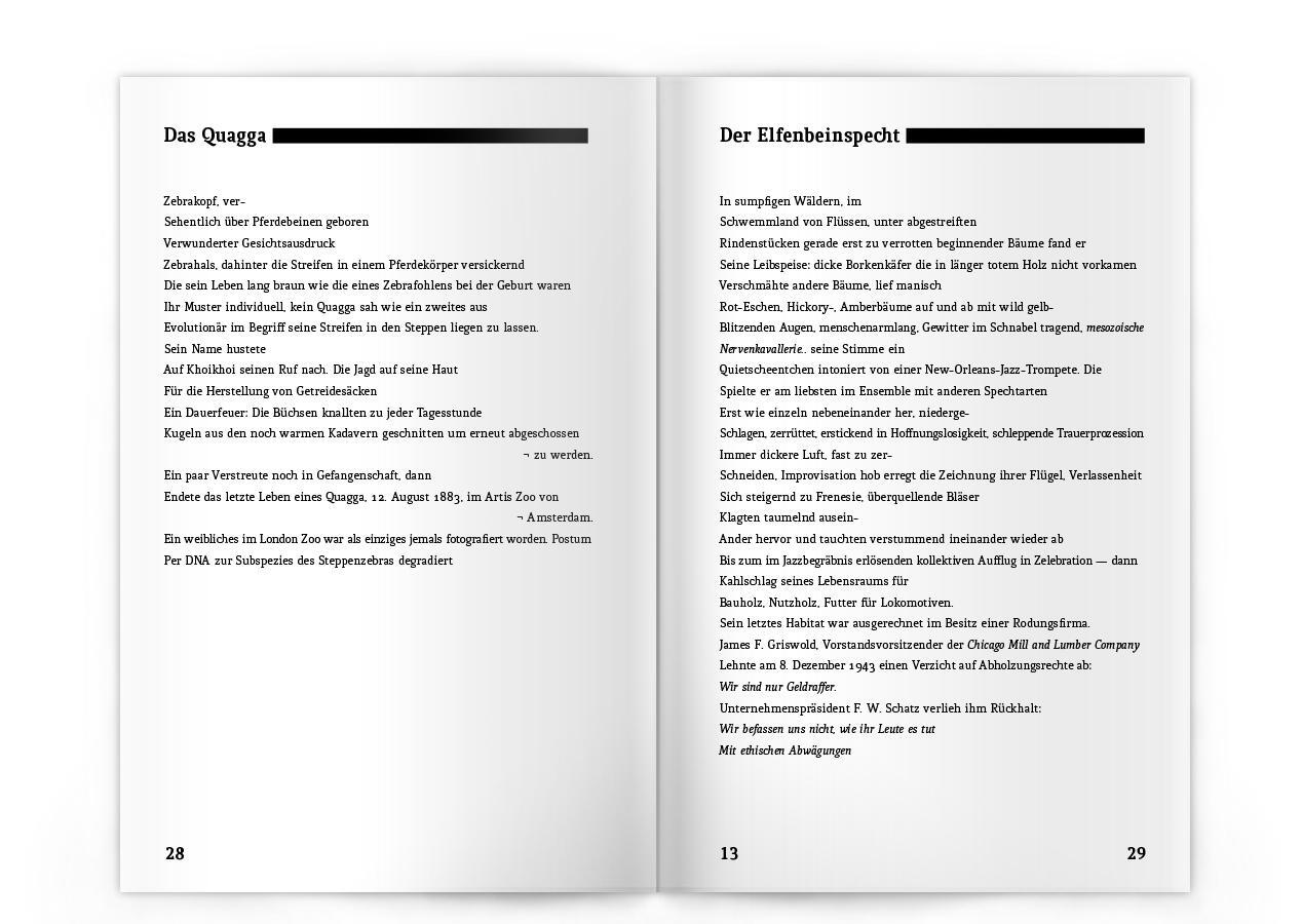 Thumbnail - Dodos Auf Der Flucht Mikael Vogel