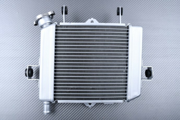 Radiateur moto contre la surchauffe moteur de Suzuki GSXR 125 WDL0