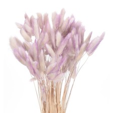 120Stk. Nat&uuml;rliche Hasenschwanz-Blumen 17" Mini-Gras,Verlauf Dunkellila