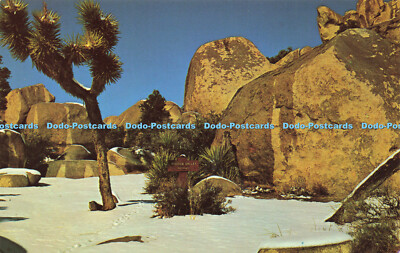 R581916 Hidden Valley Joshua Tree National Monument Western Resort Publikationen