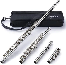 POGOLAB Closed Hole C 16 Keys Flutes Instrument Kit for Beginner Advanced Player