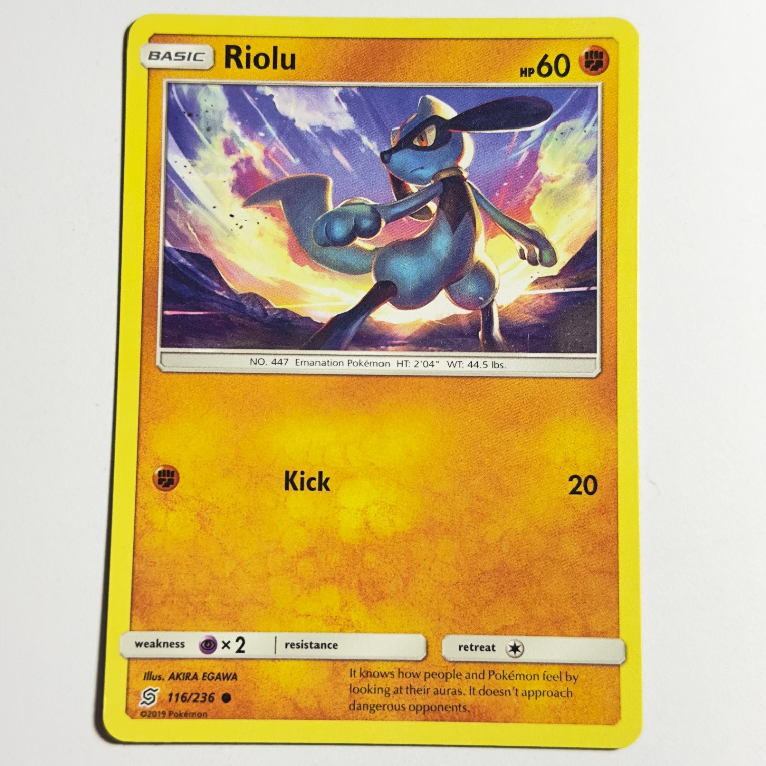 Riolu 116/236 Common Regular Card SM - Unified Minds Pokemon TCG LP