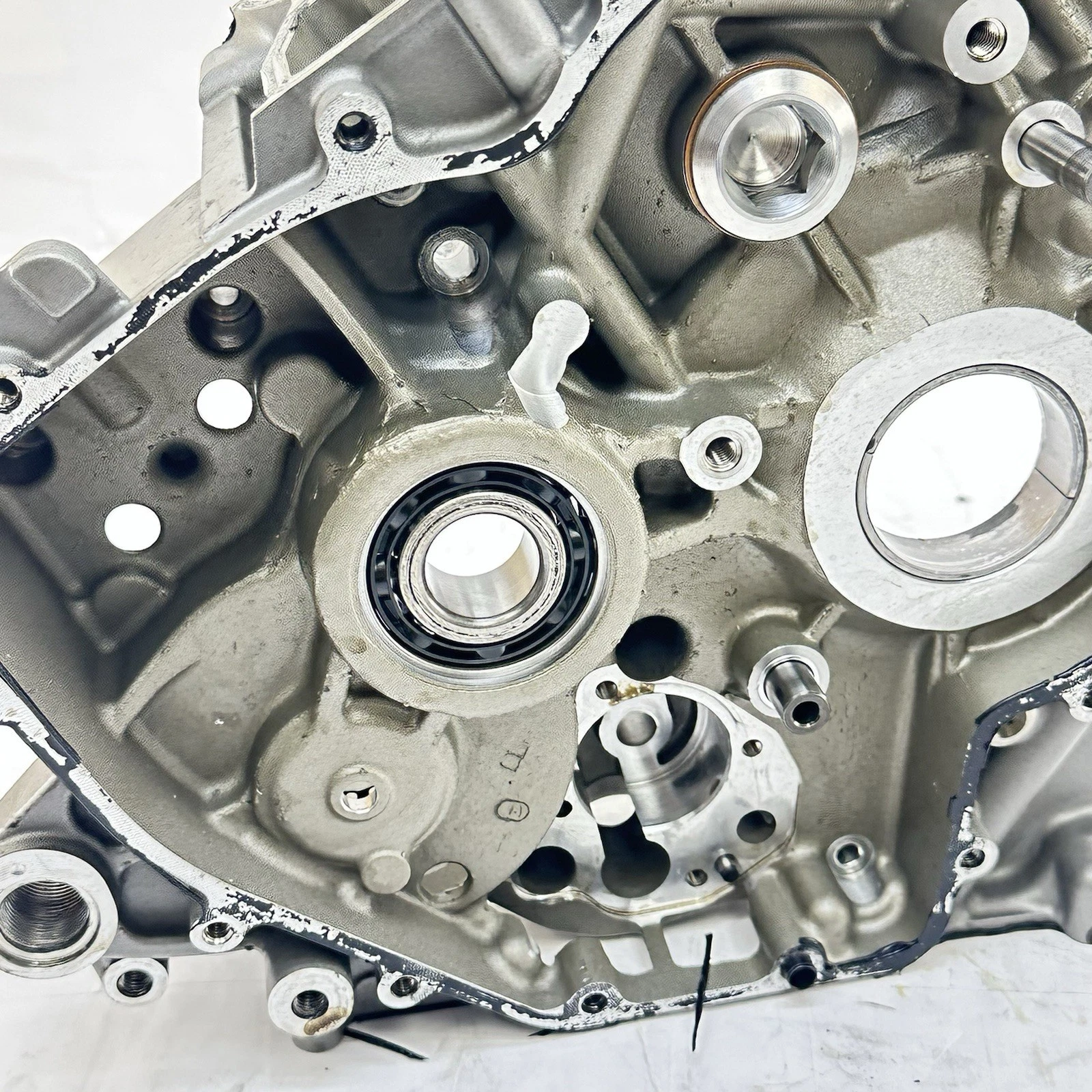 2016 - 2019 DUCATI PANIGALE 959 CRANKCASE ENGINE MOTOR BLOCK CASE BOLTS HARDWARE