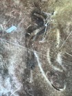 Bild 5 von 5