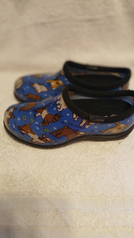 BLUE  Sloggers Rain Shoes With GOATS  Women’s 6