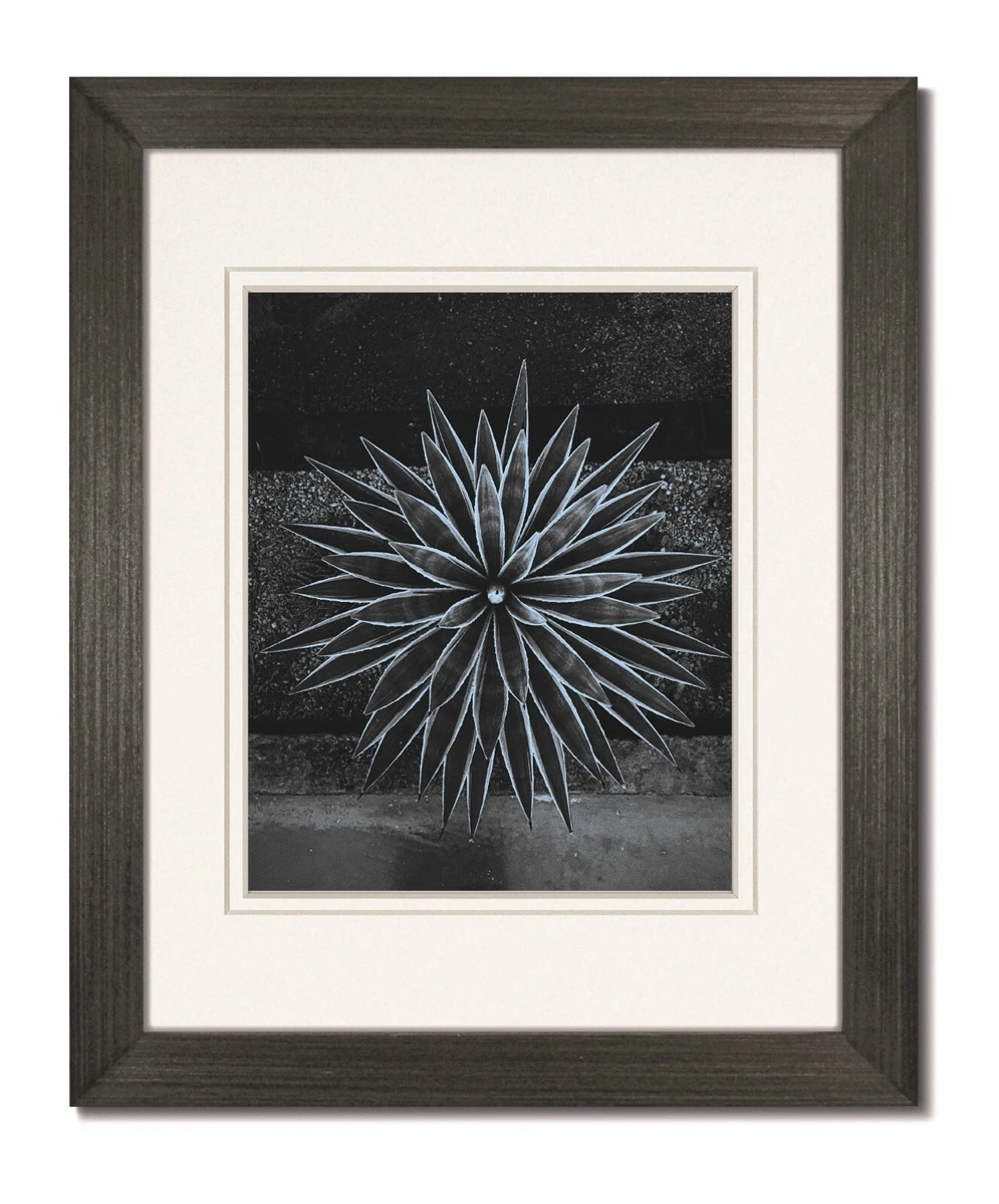 White 11x14 deals frame